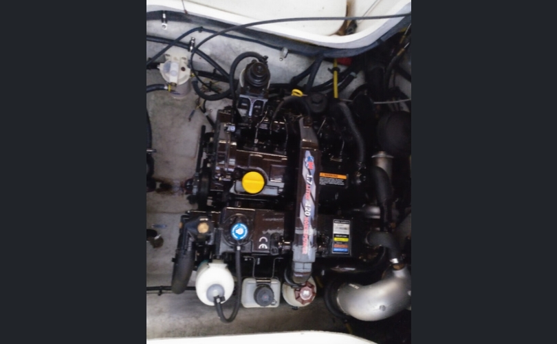 Trophy 2052 WA C / certificate-kuva-4